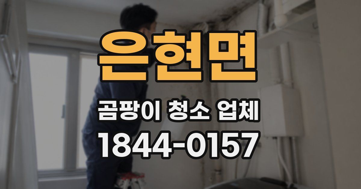 은현면 곰팡이 청소 업체