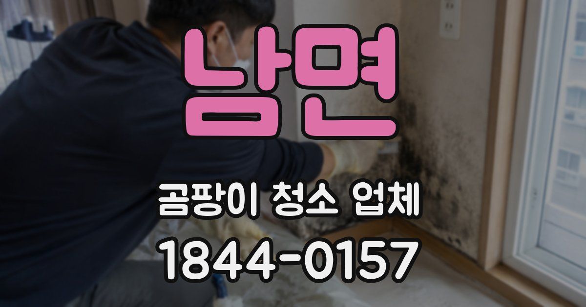 남면 곰팡이 청소 업체