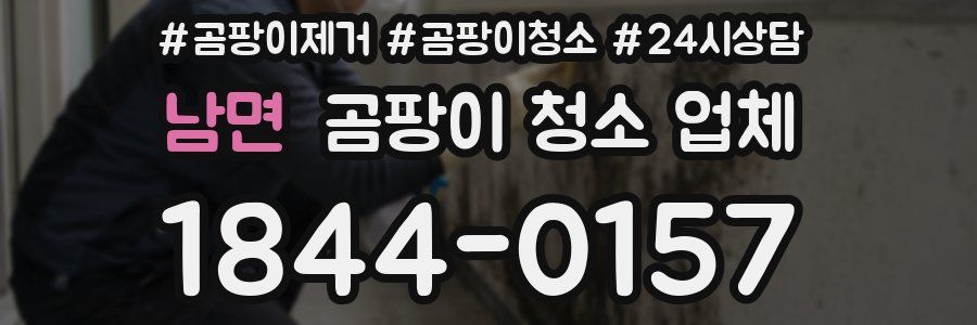 남면 곰팡이 청소 업체