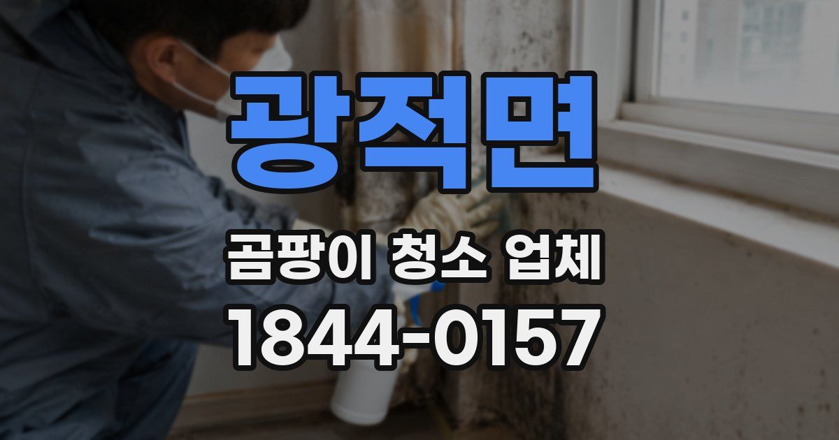 광적면 곰팡이 청소 업체