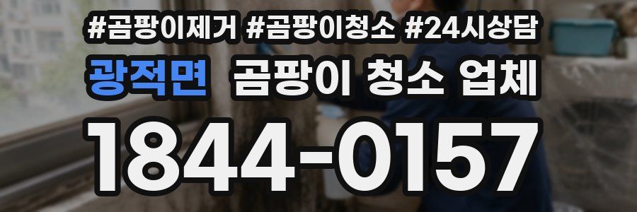 광적면 곰팡이 청소 업체
