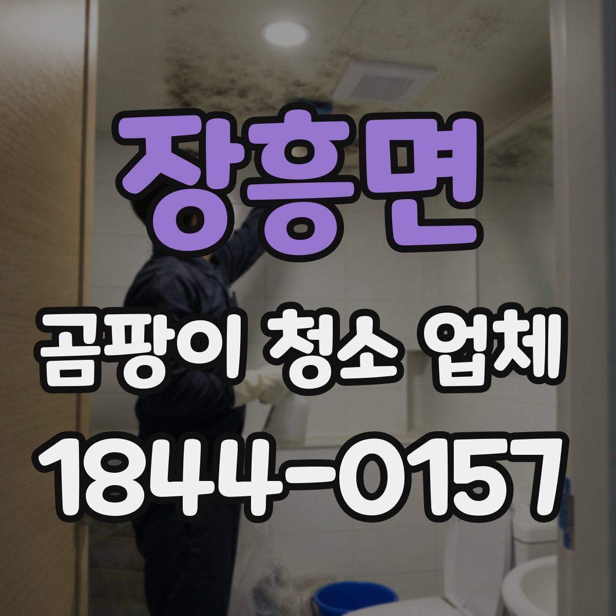 장흥면 곰팡이 청소 업체