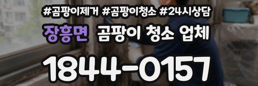 장흥면 곰팡이 청소 업체