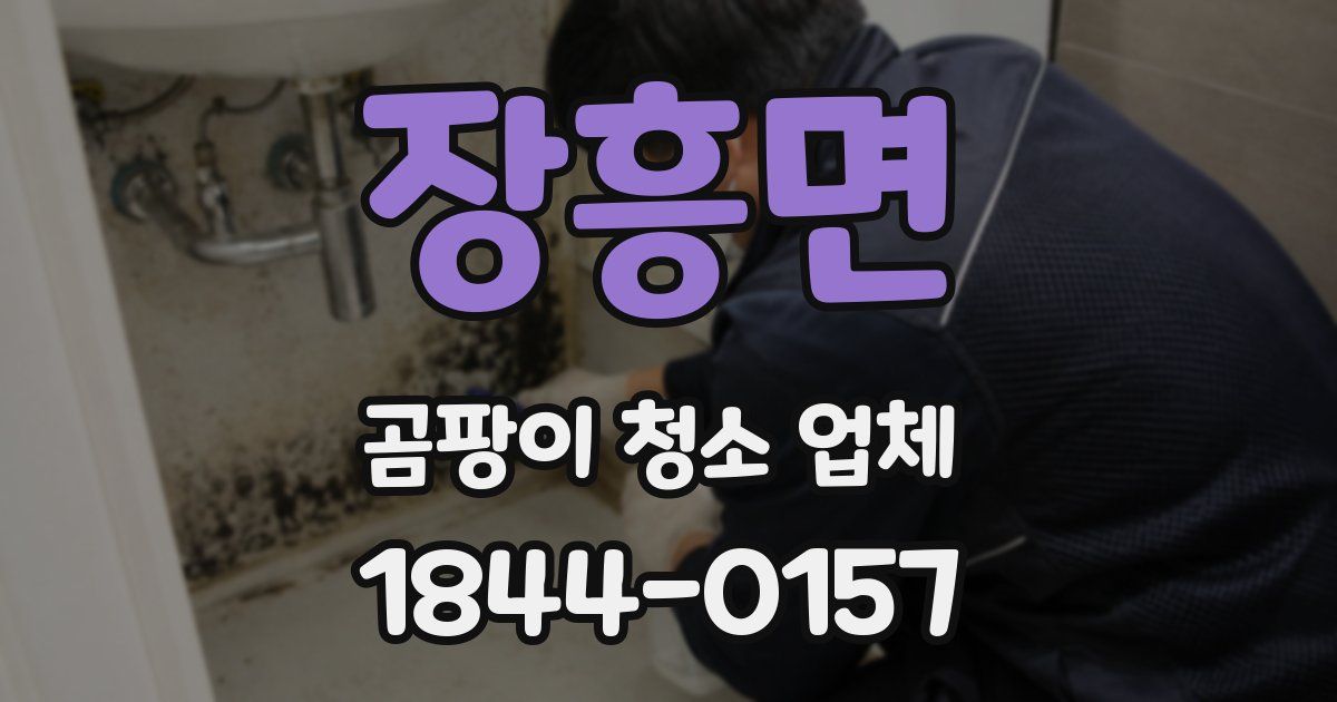 장흥면 곰팡이 청소 업체