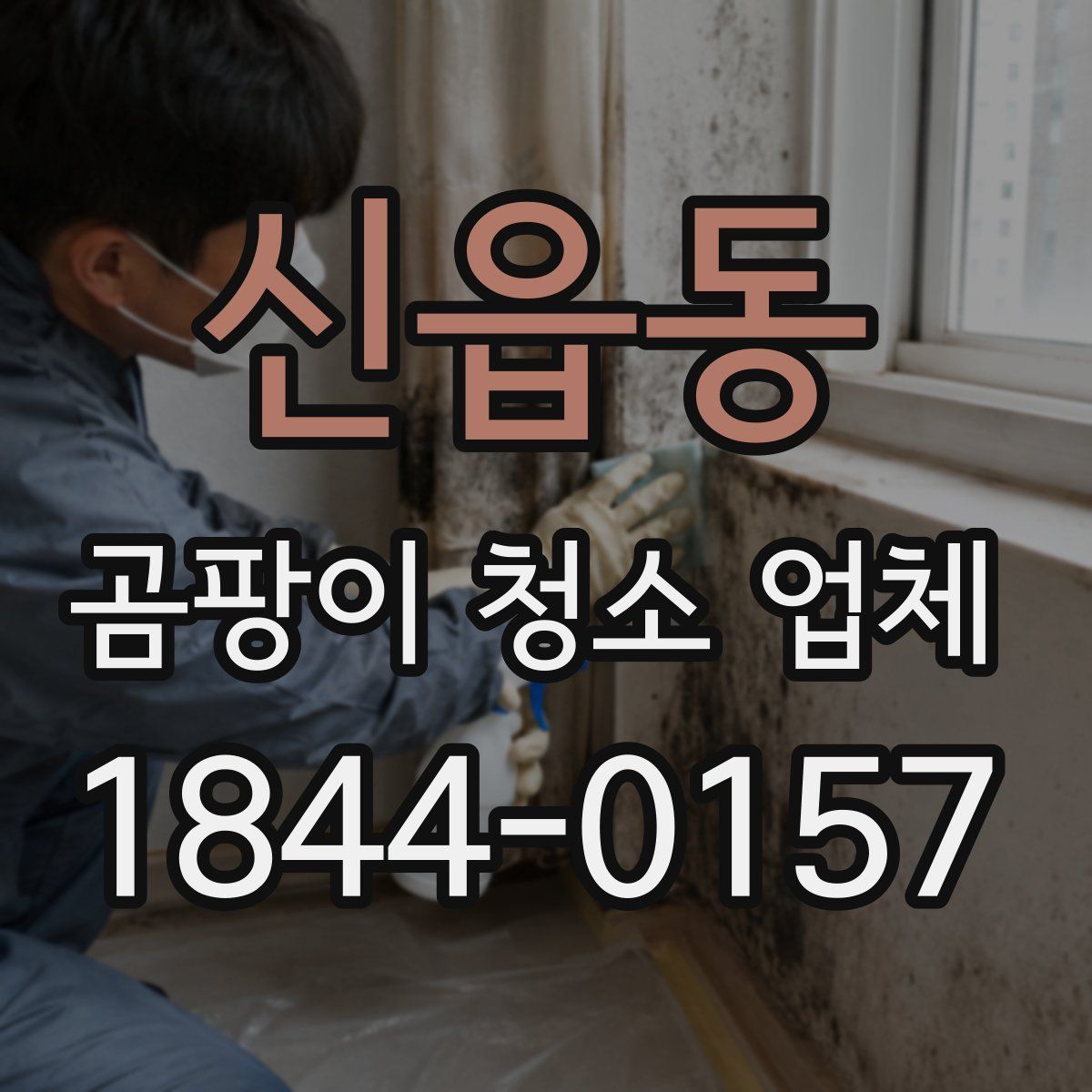 신읍동 곰팡이 청소 업체