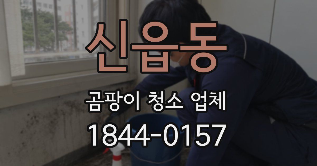 신읍동 곰팡이 청소 업체