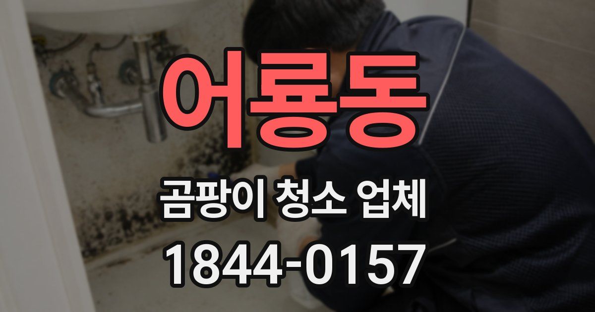 어룡동 곰팡이 청소 업체