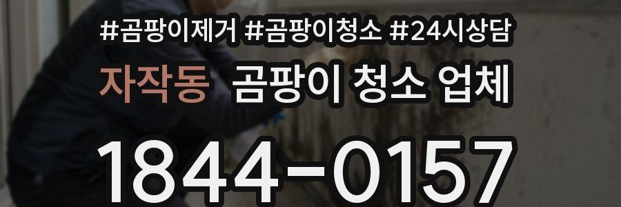 자작동 곰팡이 청소 업체