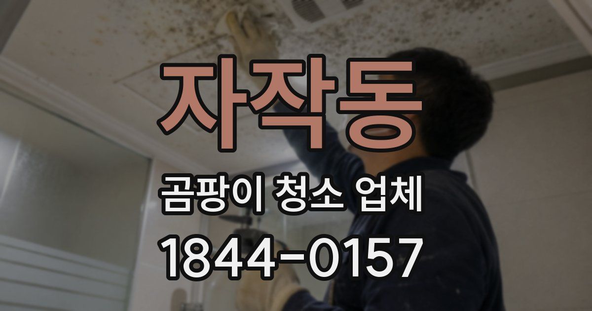 자작동 곰팡이 청소 업체