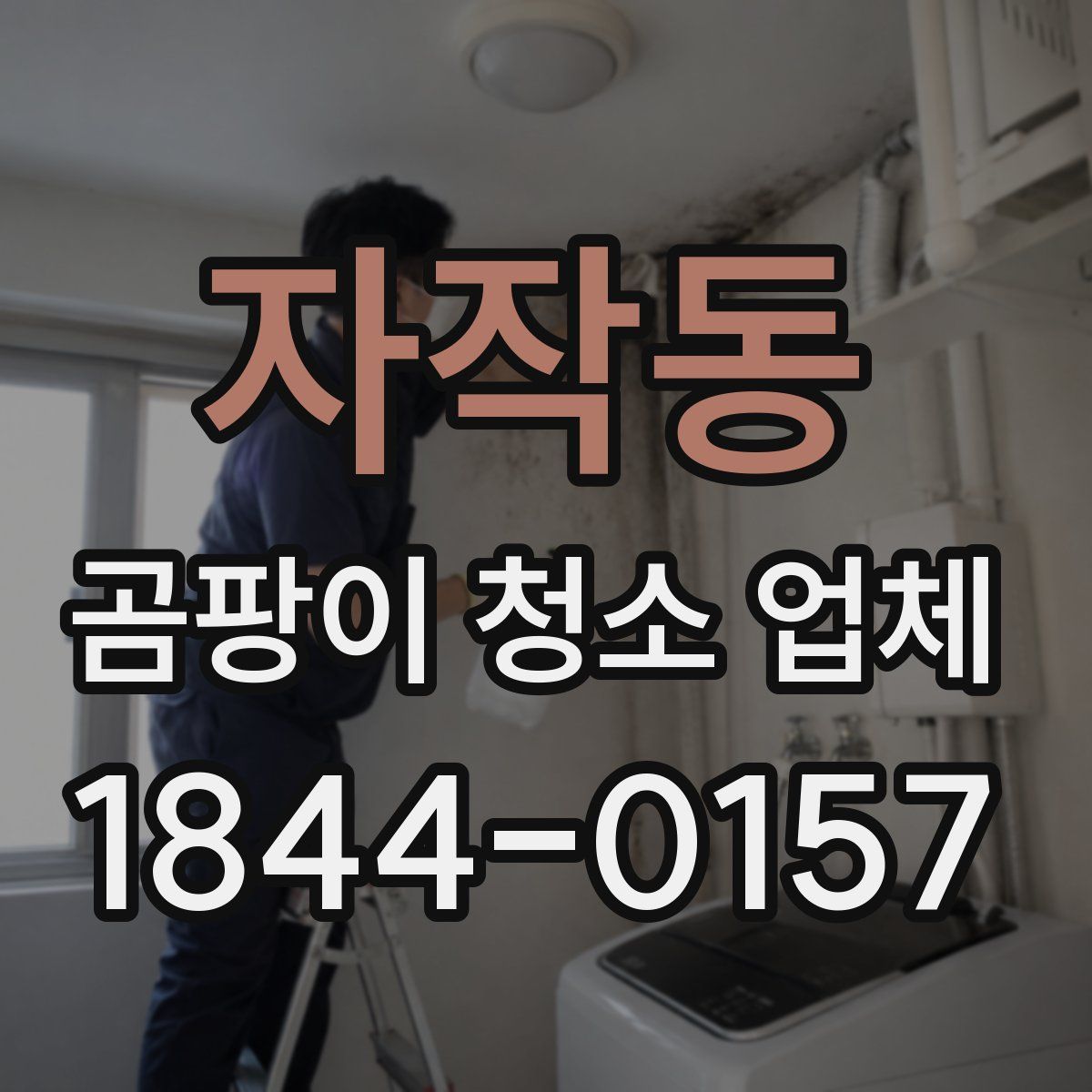 자작동 곰팡이 청소 업체
