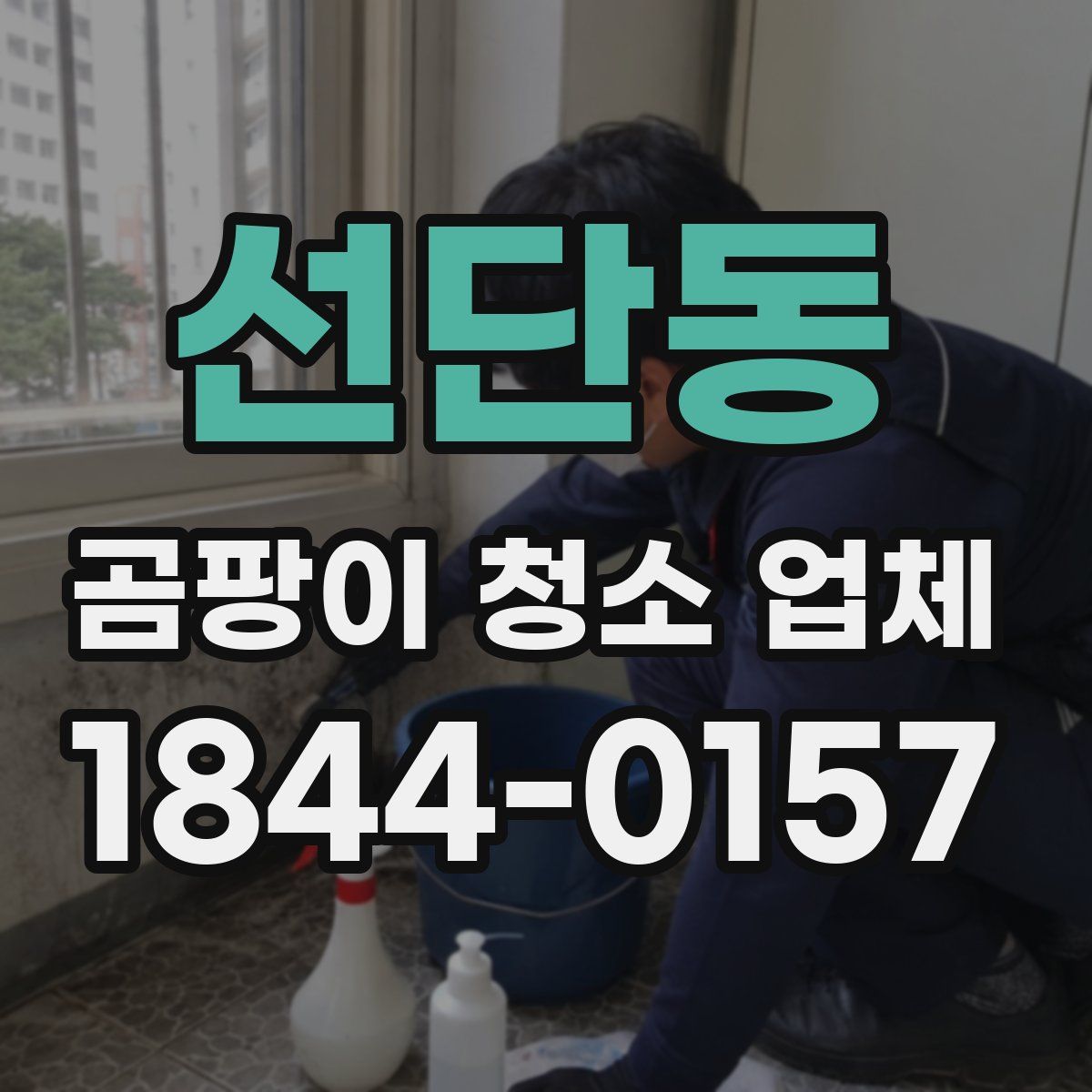 선단동 곰팡이 청소 업체
