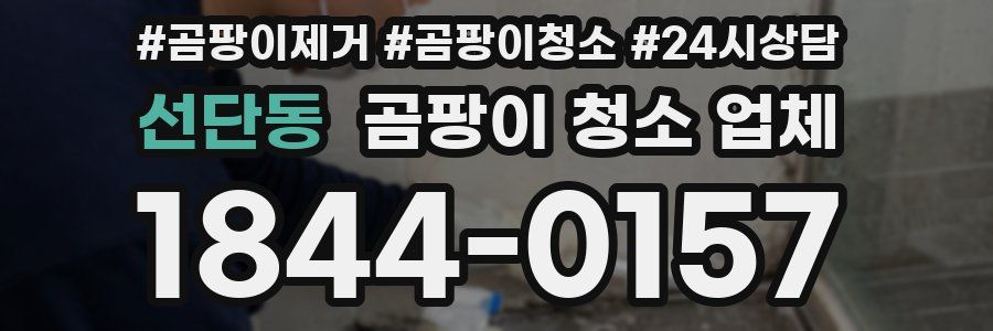 선단동 곰팡이 청소 업체
