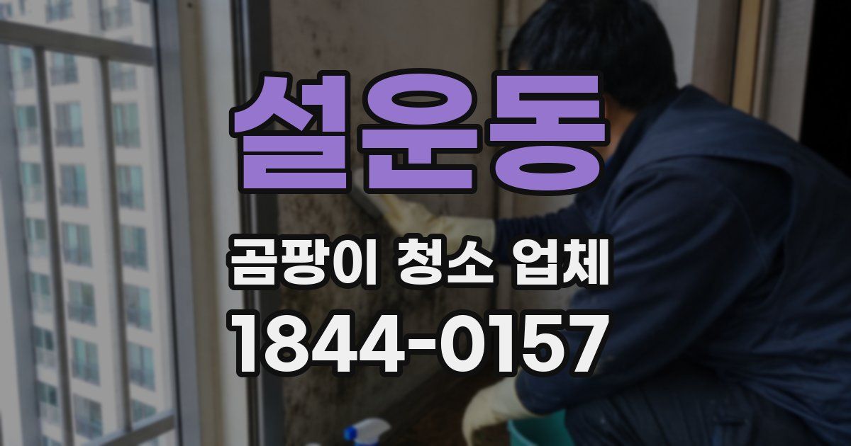 설운동 곰팡이 청소 업체
