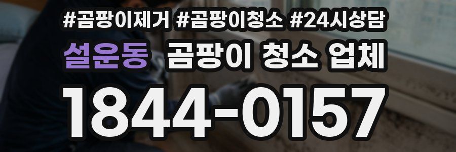 설운동 곰팡이 청소 업체