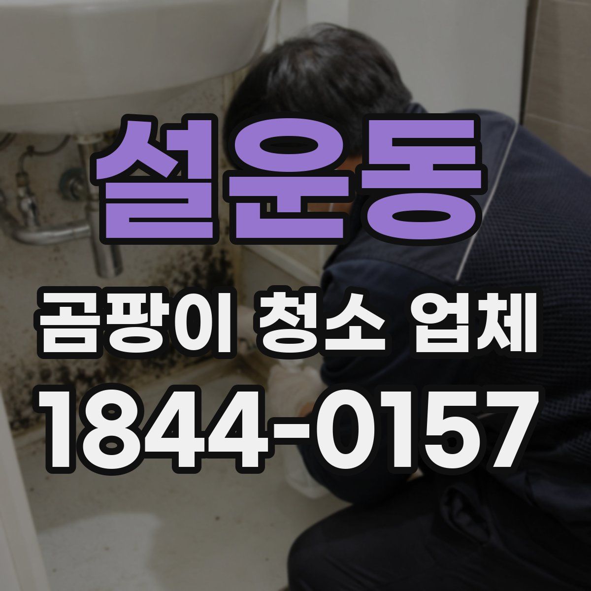 설운동 곰팡이 청소 업체