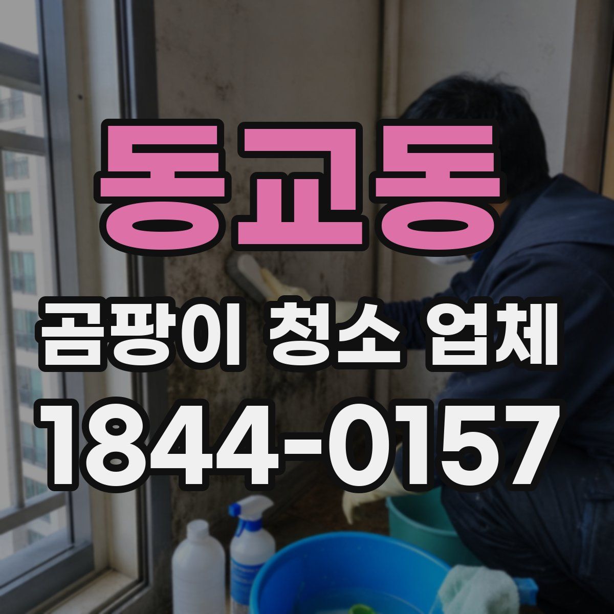 동교동 곰팡이 청소 업체