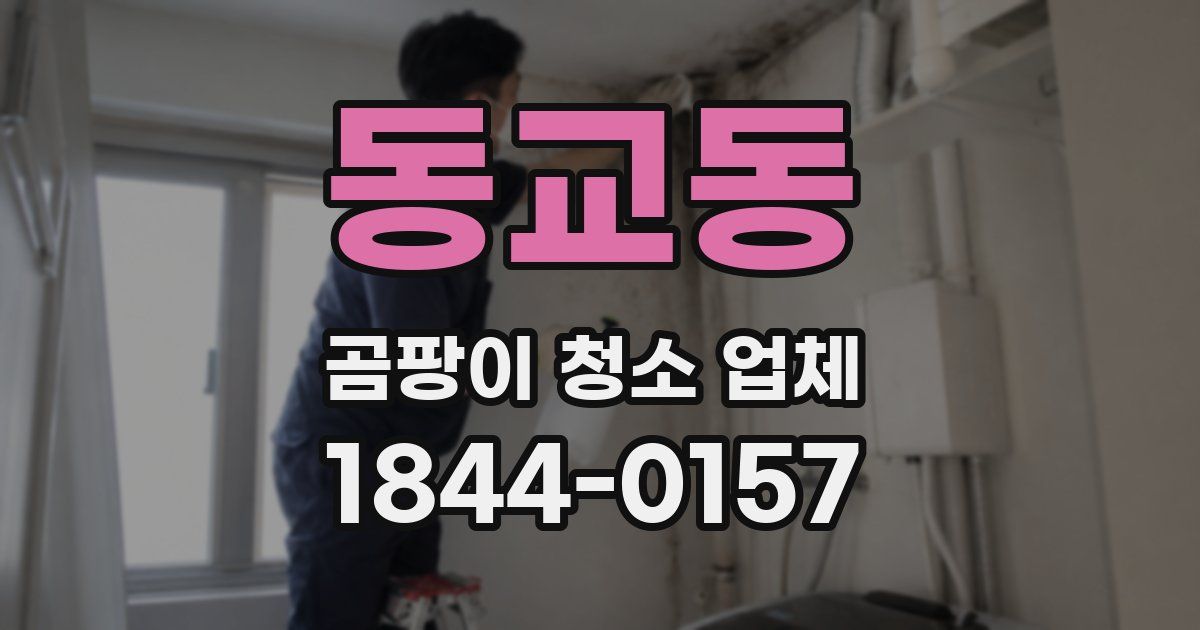 동교동 곰팡이 청소 업체