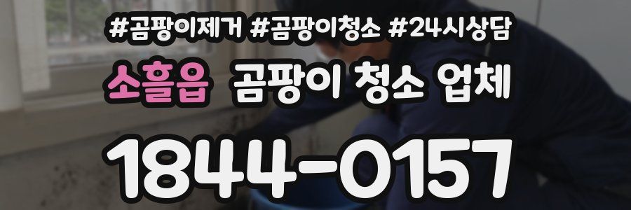 소흘읍 곰팡이 청소 업체