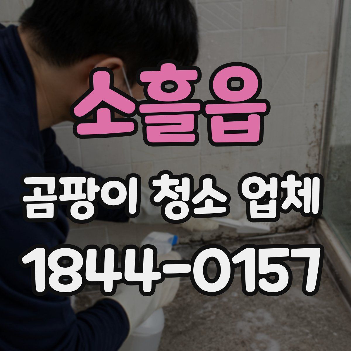 소흘읍 곰팡이 청소 업체