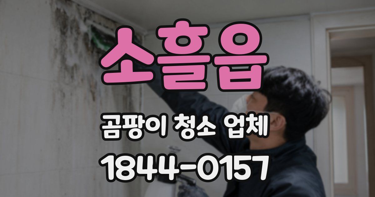 소흘읍 곰팡이 청소 업체