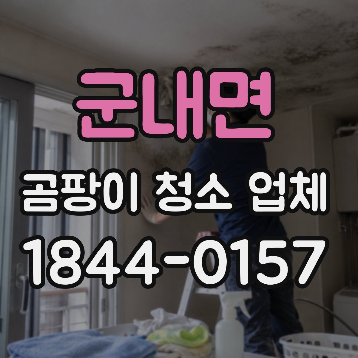 군내면 곰팡이 청소 업체