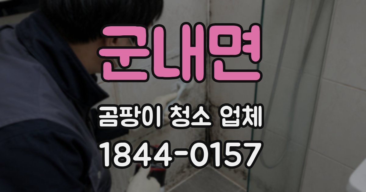 군내면 곰팡이 청소 업체