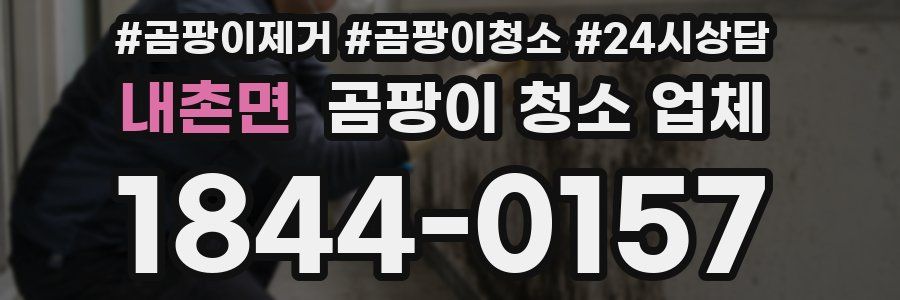 내촌면 곰팡이 청소 업체