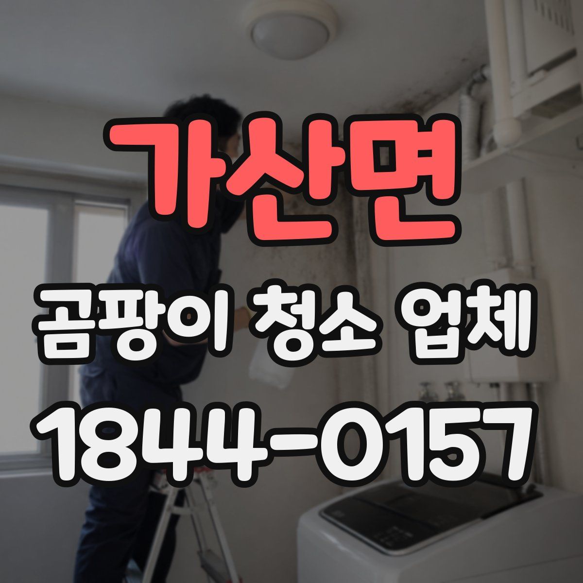 가산면 곰팡이 청소 업체