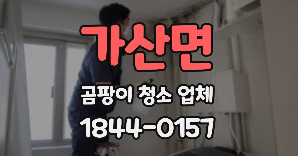 가산면 곰팡이 청소 업체