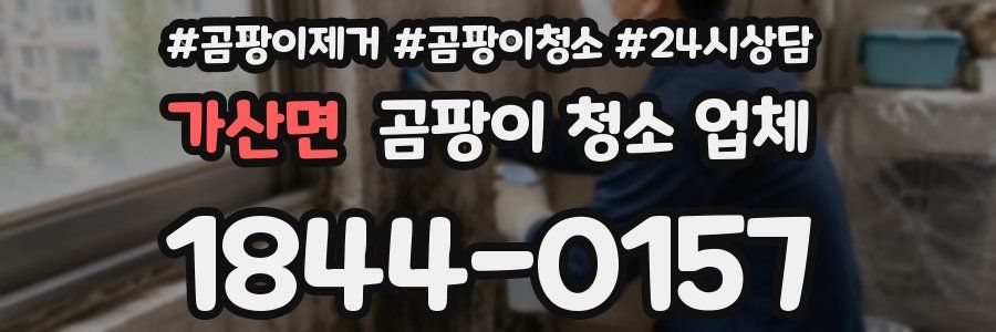 가산면 곰팡이 청소 업체