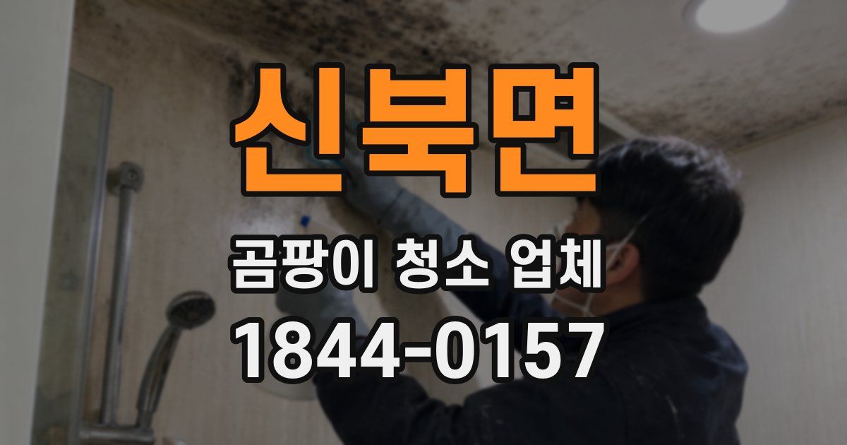 신북면 곰팡이 청소 업체