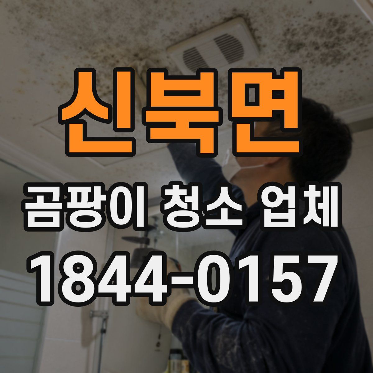 신북면 곰팡이 청소 업체