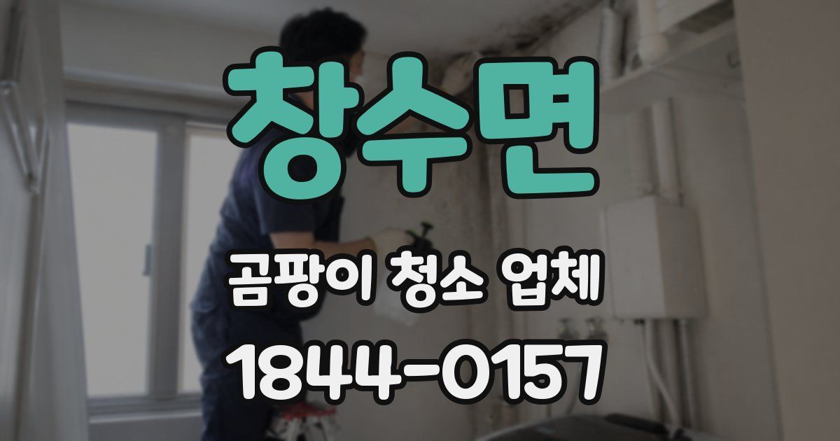 창수면 곰팡이 청소 업체