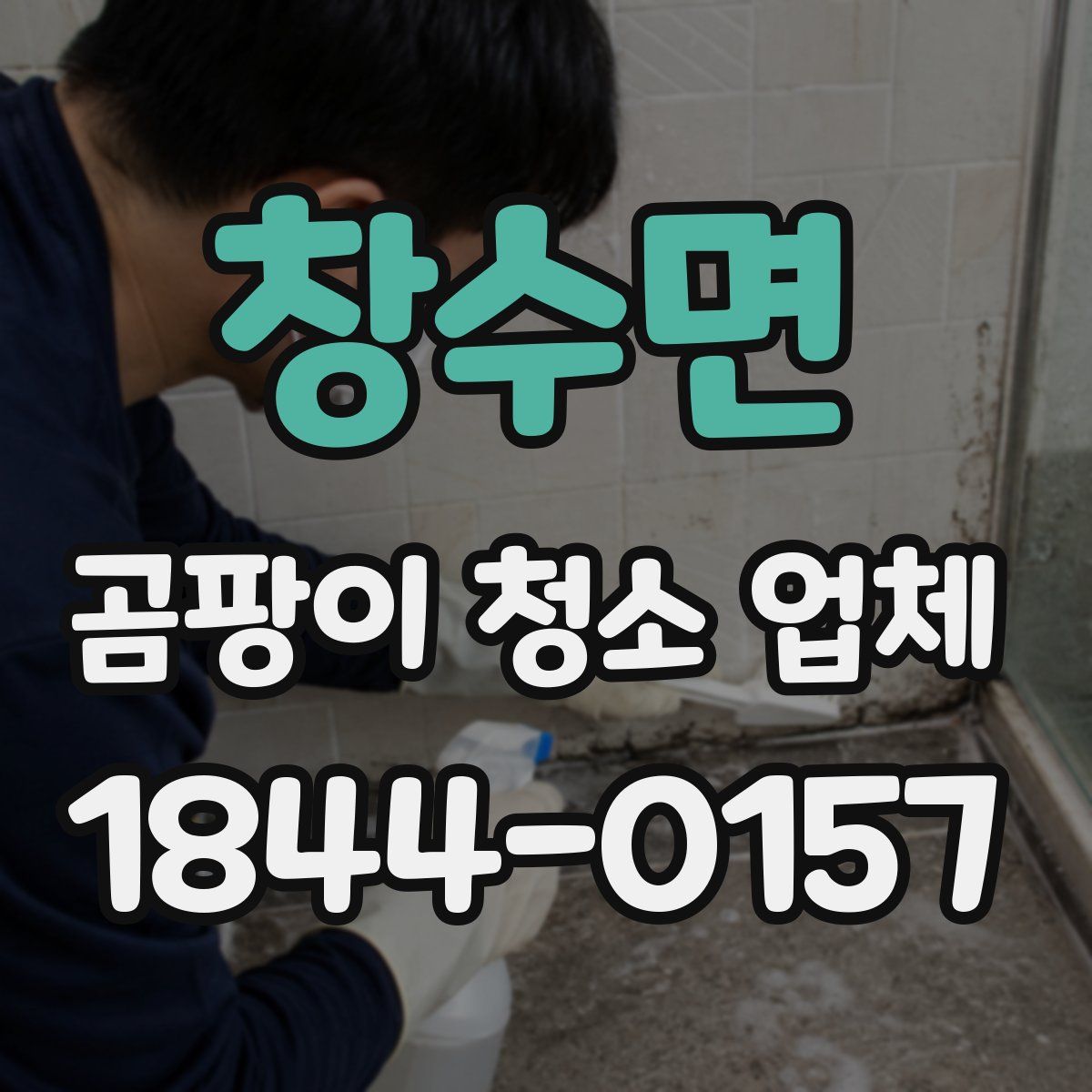 창수면 곰팡이 청소 업체