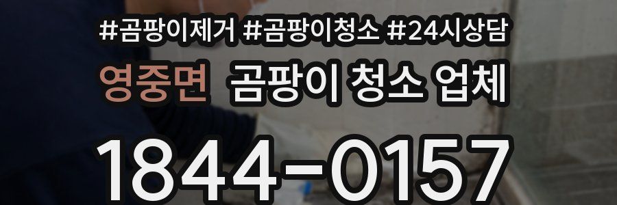 영중면 곰팡이 청소 업체