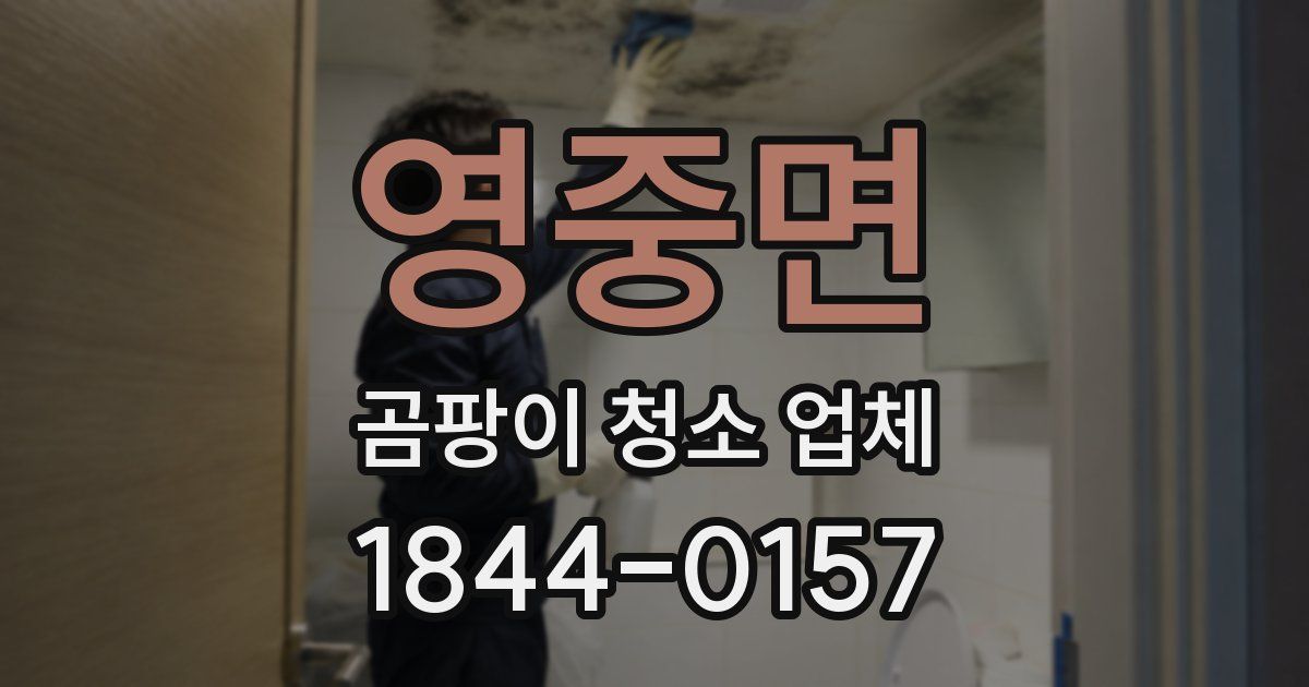 영중면 곰팡이 청소 업체