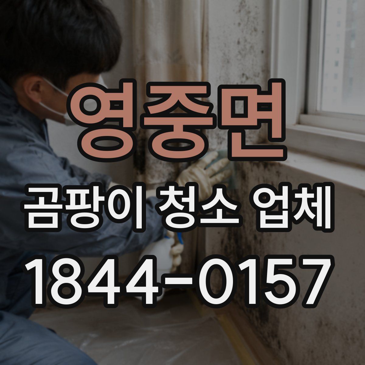 영중면 곰팡이 청소 업체