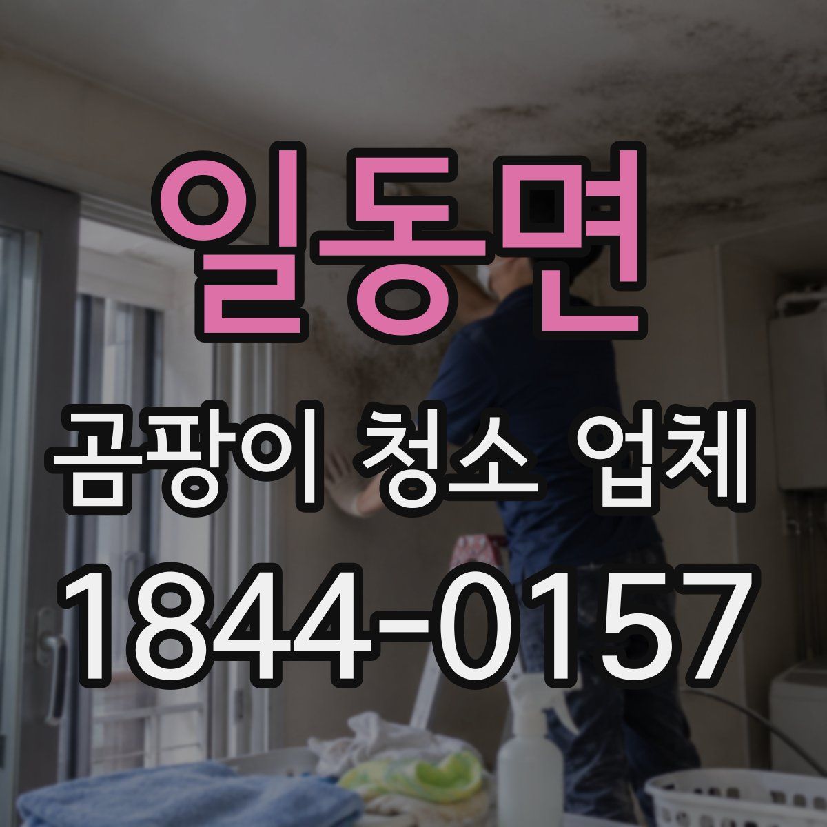 일동면 곰팡이 청소 업체