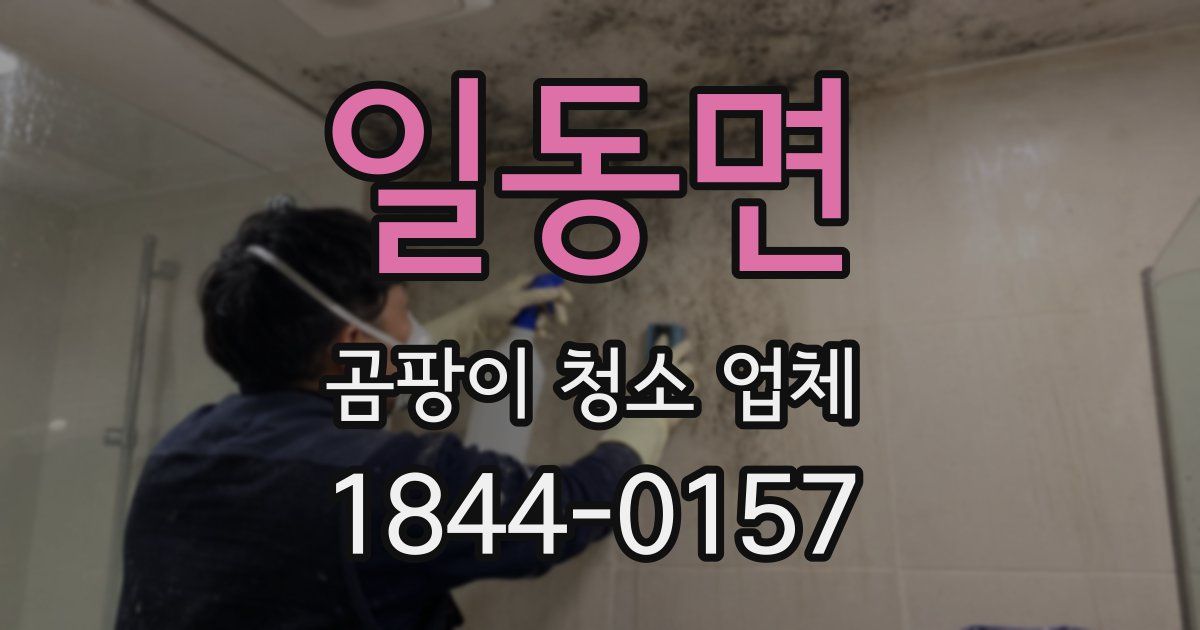 일동면 곰팡이 청소 업체