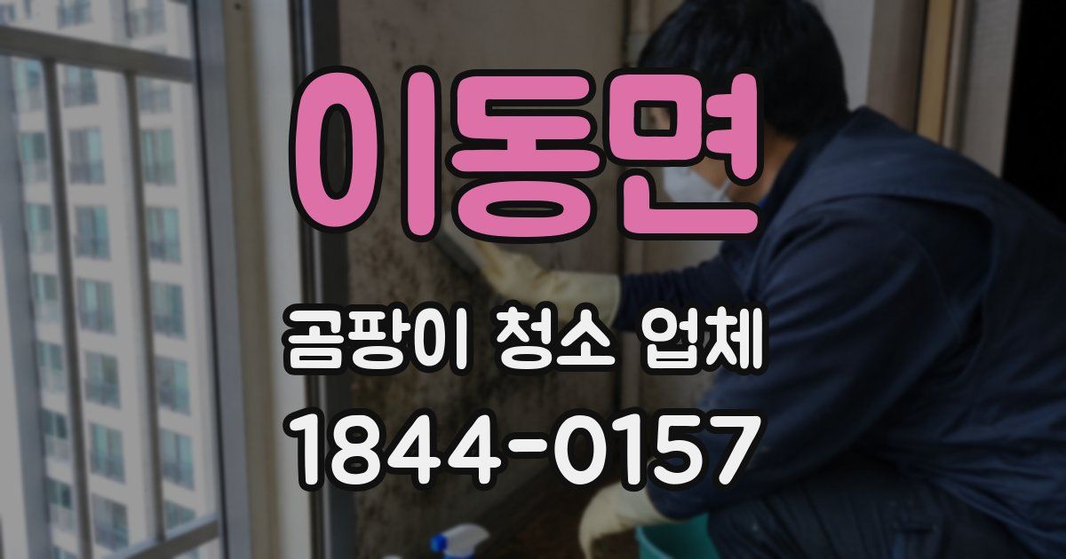이동면 곰팡이 청소 업체