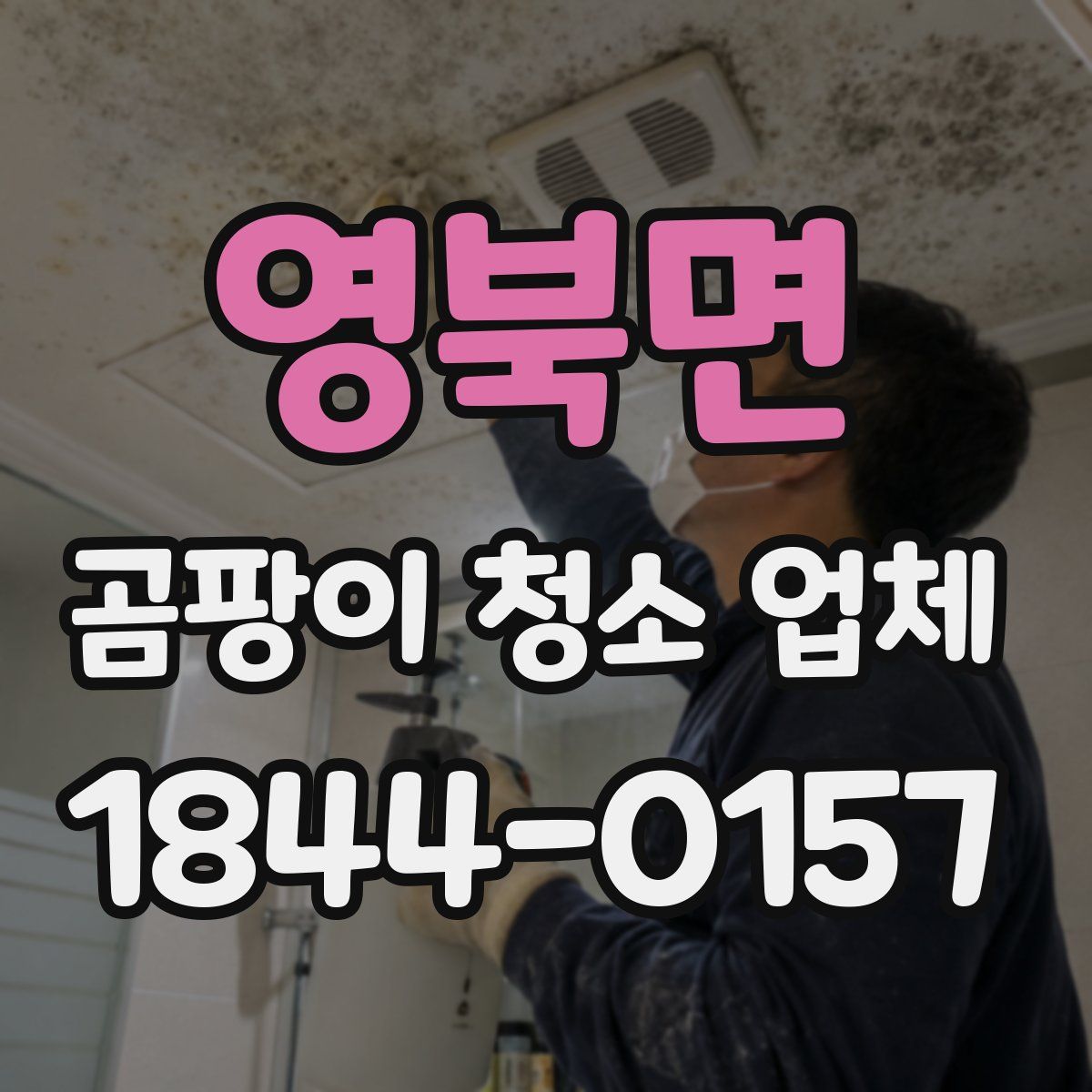영북면 곰팡이 청소 업체