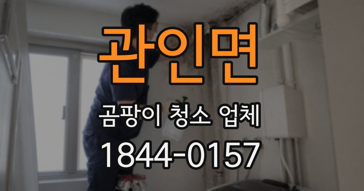 관인면 곰팡이 청소 업체