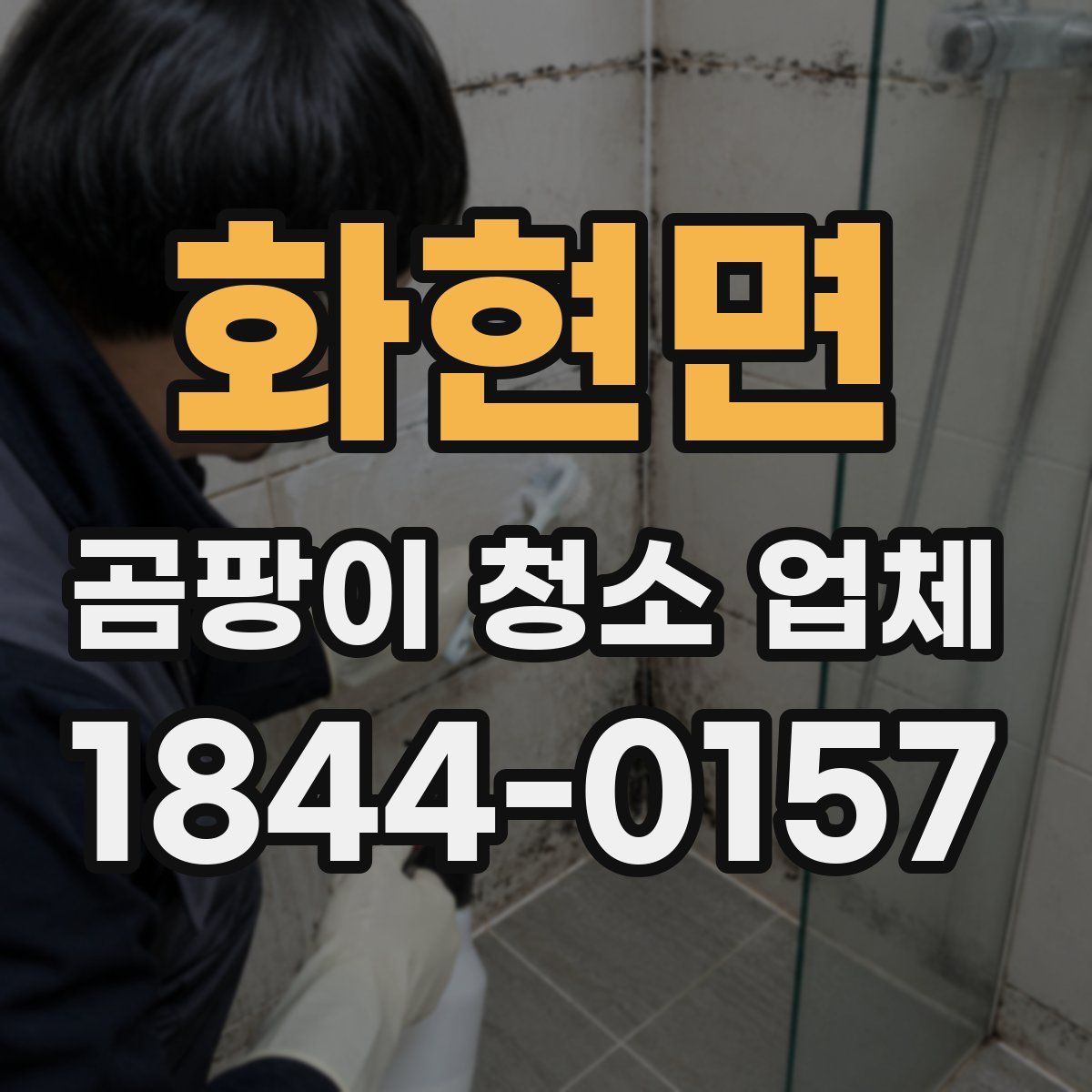 화현면 곰팡이 청소 업체