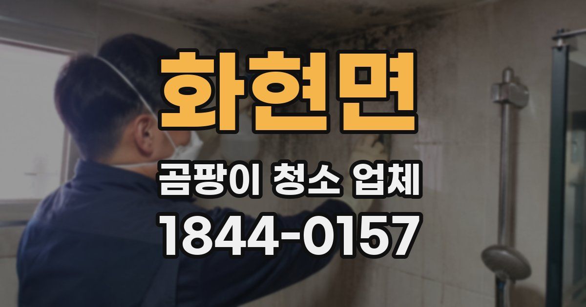 화현면 곰팡이 청소 업체