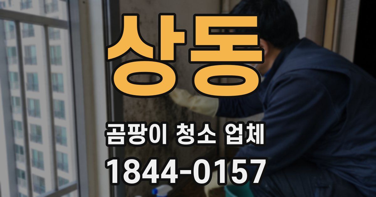 상동 곰팡이 청소 업체
