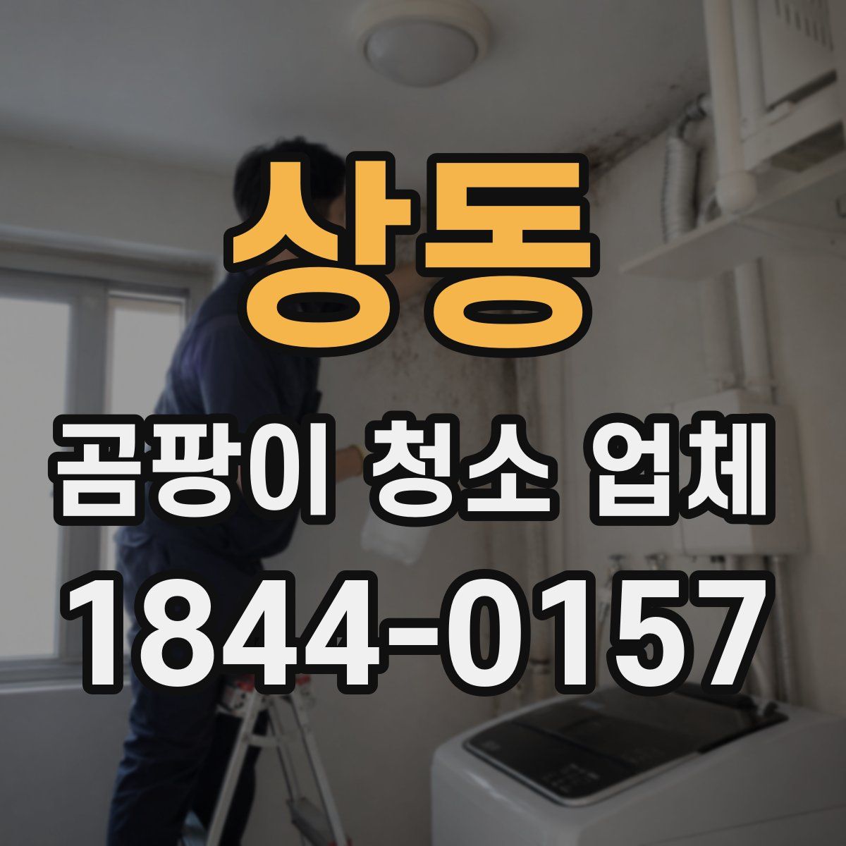 상동 곰팡이 청소 업체