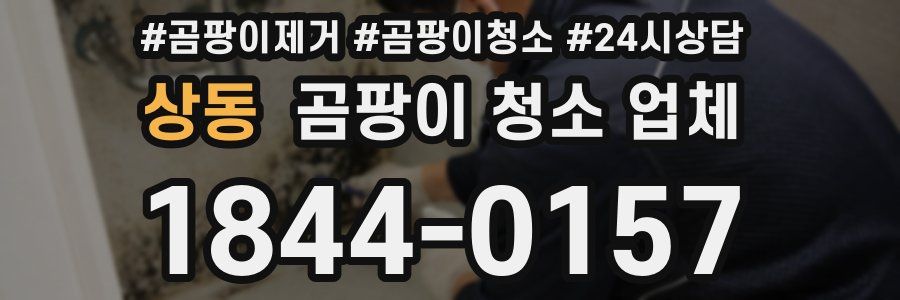 상동 곰팡이 청소 업체