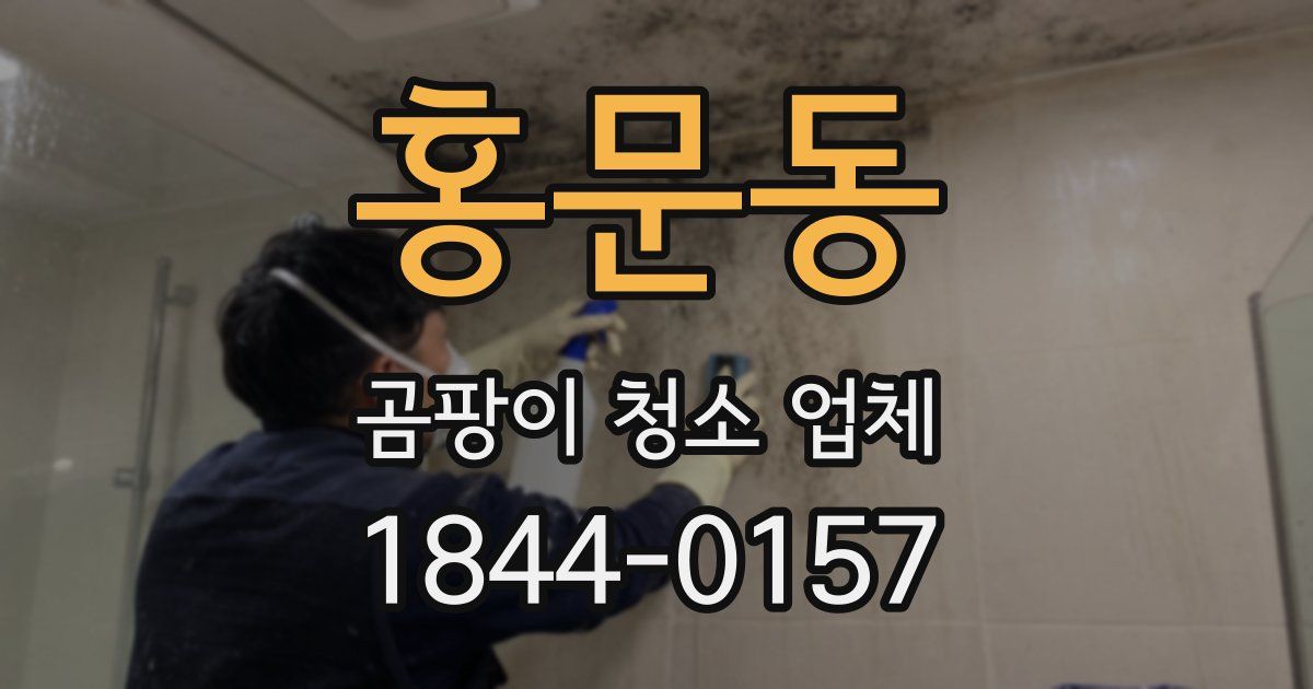 홍문동 곰팡이 청소 업체