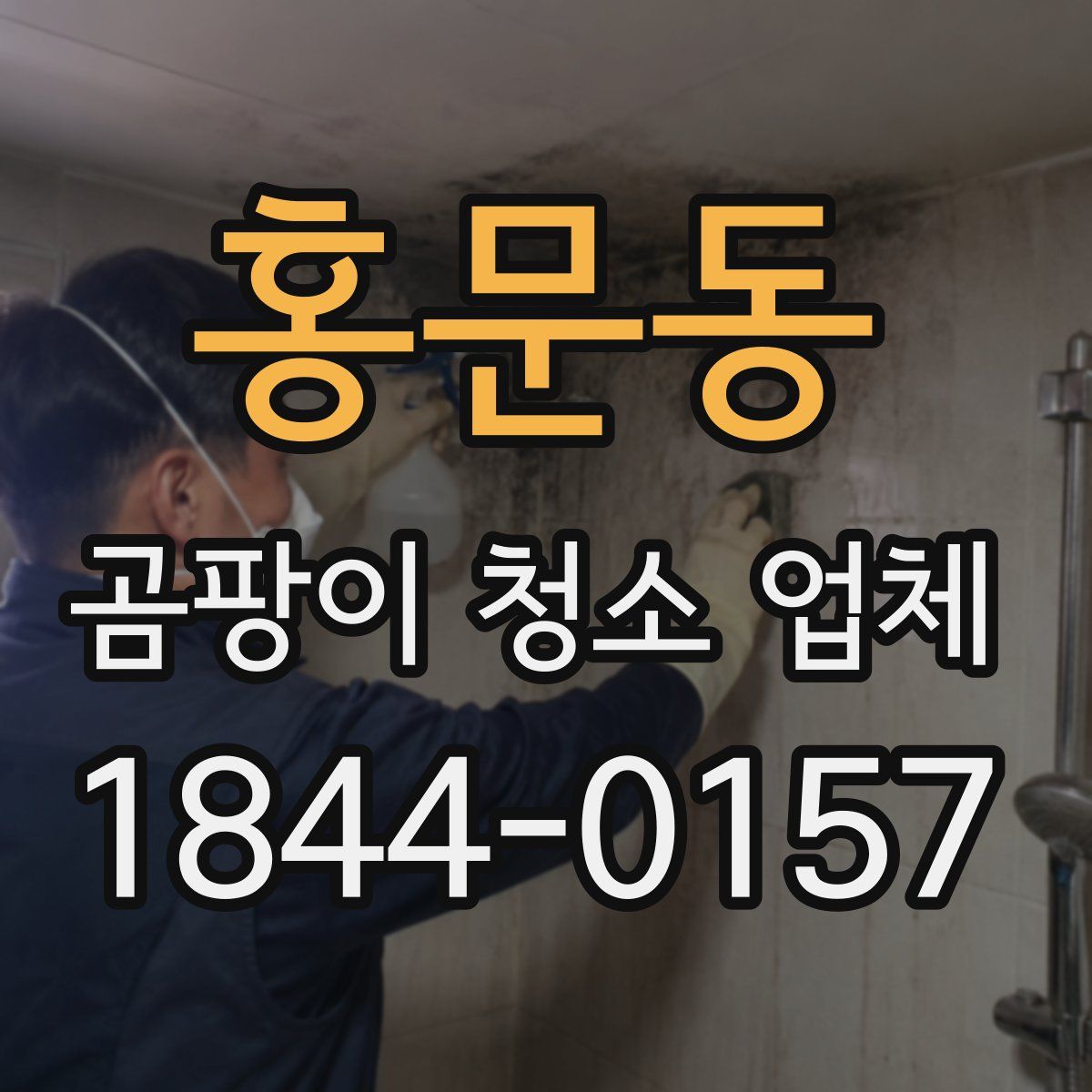 홍문동 곰팡이 청소 업체
