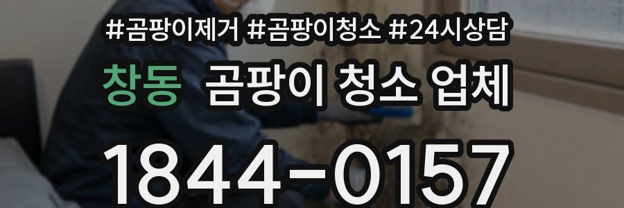 창동 곰팡이 청소 업체